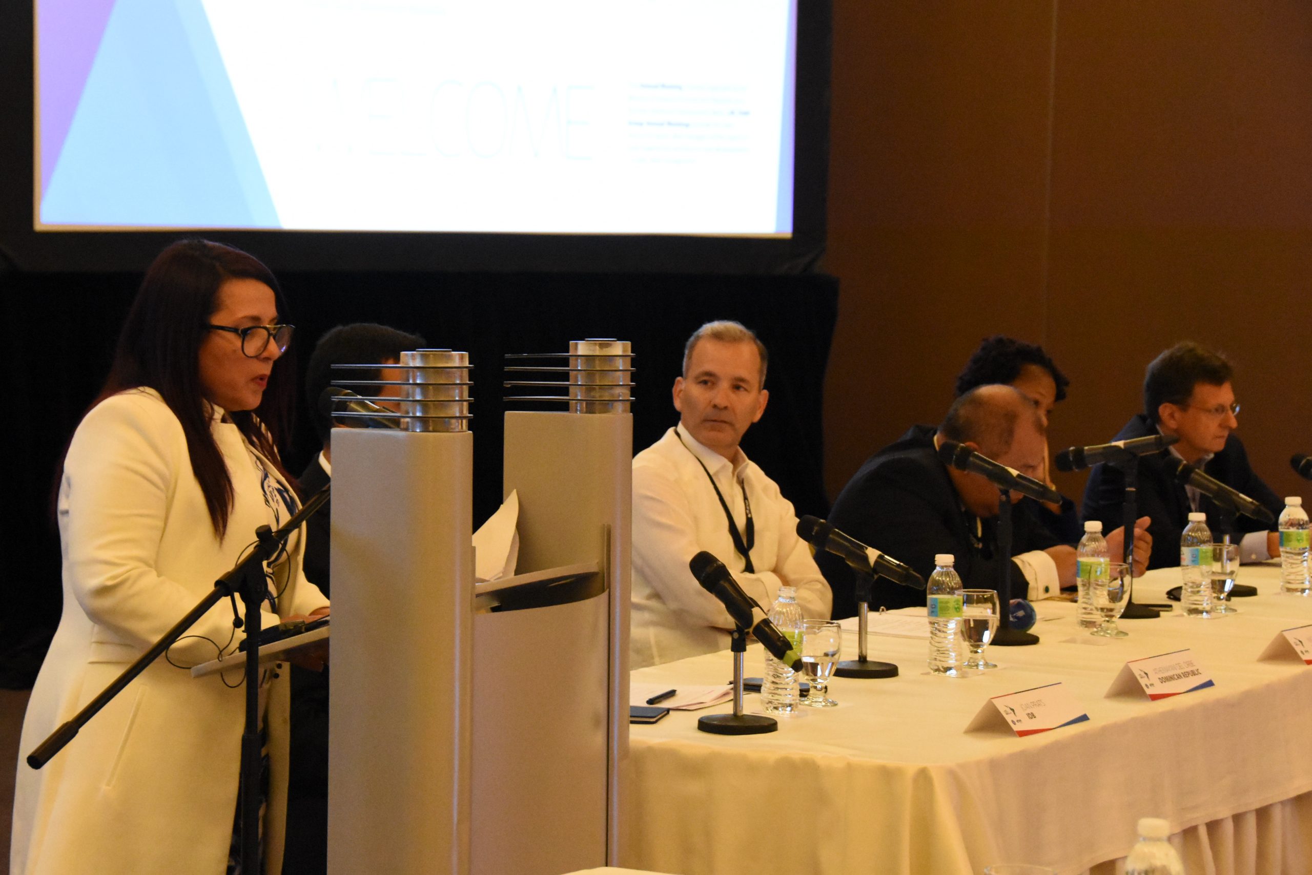Minimizar costos del financiamiento afianza sostenibilidad económica de república dominicana