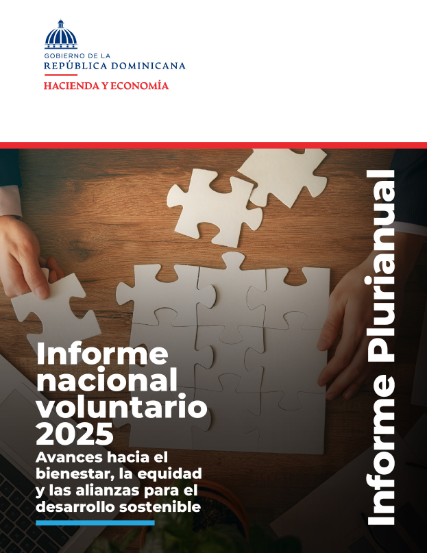 portada de Informe nacional voluntariado 2025