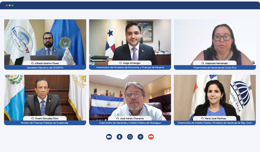 Viceministra de Crédito Público, María José Martínez, durante la reunión virtual 